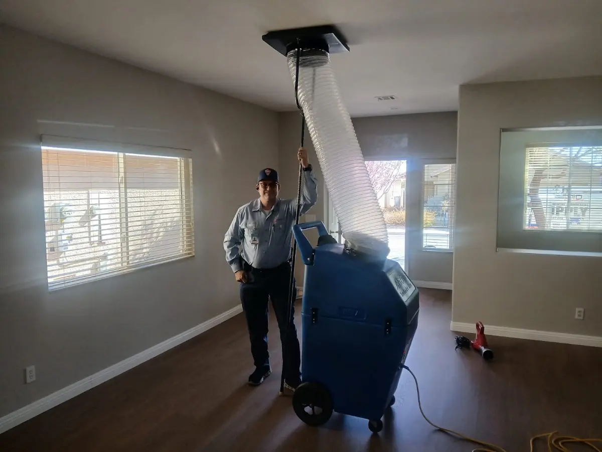 Professional Dryer Vent Cleaning work inside a Mount Arlington home